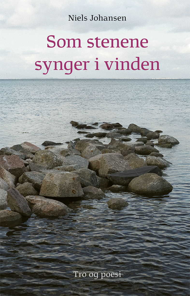 Cover for Niels Johansen · Som stenene synger i vinden (Hardcover Book) [第1 版本] (2022)