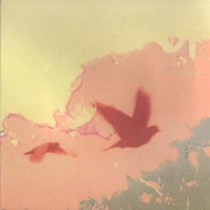 Cover for Thomas &amp; Sampson · When the Lower Resembles the Higher (CD) [Digipack] (2004)
