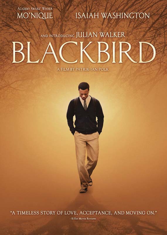Cover for Blackbird (DVD) (2015)