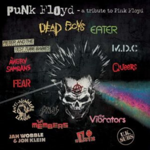 Cover for Compilation · Punk Floyd - A Tribute To Pink Floyd (CD) (2024)
