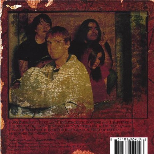 Cover for Impure · Street Lights Through Spiderwebs (CD) (2005)