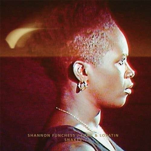 Cover for Shannon Funchess / Ford &amp; Lopatin · Snakes (12") [Limited edition] (2011)