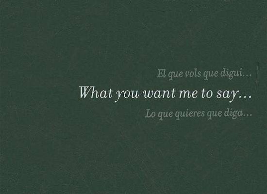 Cover for Douglas Gordon · What You Want Me to Say... (Hardcover Book) [Mul edition] (2006)