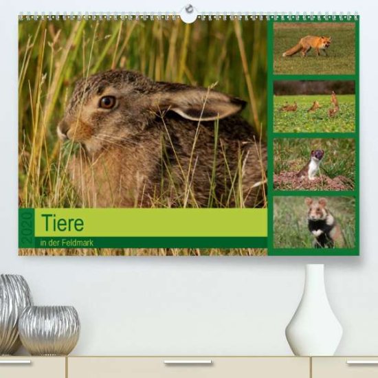 Cover for Erlwein · Tiere in der Feldmark (Premium- (Book)