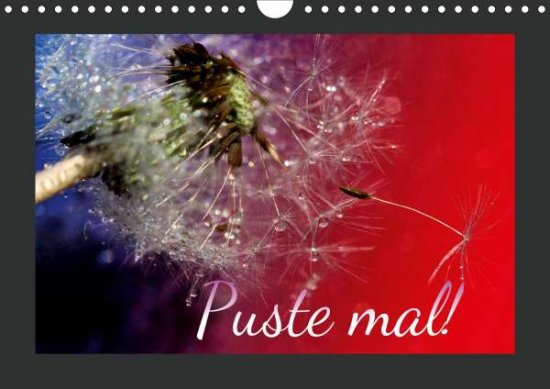 Cover for Hultsch · Puste mal! (Wandkalender 2021 D (Book)