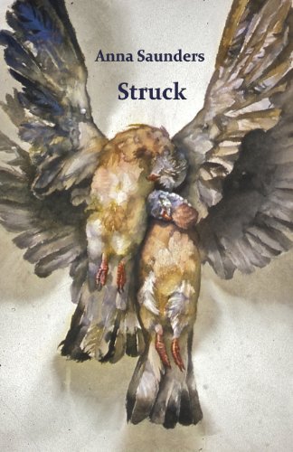 Struck - Anna Saunders - 图书 - Pindrop Press - 9780957329058 - 2014年3月1日