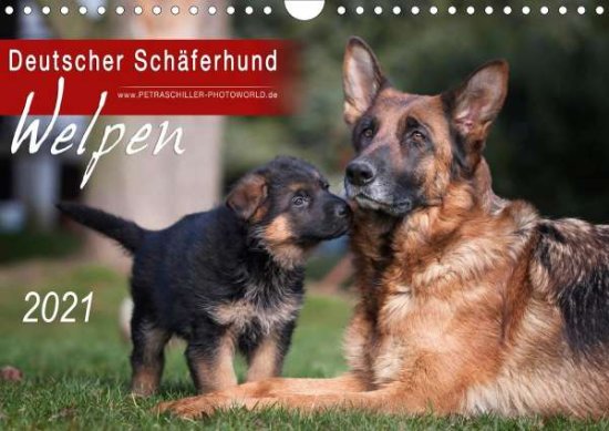 Cover for Schiller · Deutscher Schäferhund - Welpen (Book)