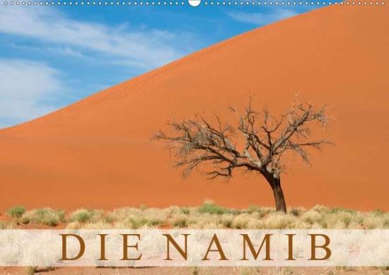 Cover for Scholz · Die Namib (Wandkalender 2021 DIN (Book)