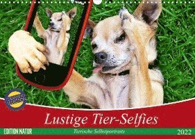 Cover for Elisabeth Stanzer · Lustige Tier-Selfies. Tierische Selbstportraits (Wandkalender 2022 DIN A3 quer) (Calendar) (2021)
