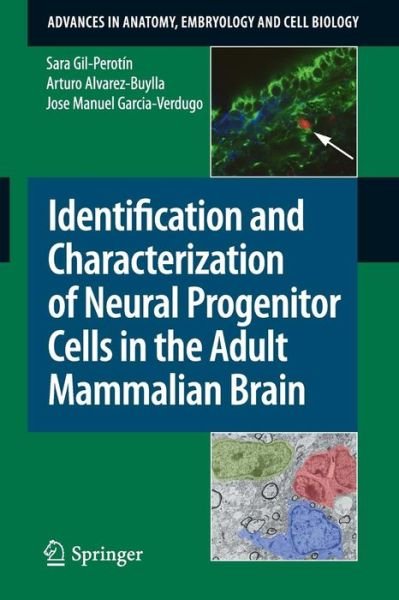 Cover for Sara Gil-Perotin · Identification and Characterization of Neural Progenitor Cells in the Adult Mammalian Brain - Advances in Anatomy, Embryology and Cell Biology (Paperback Book) [2009 edition] (2009)