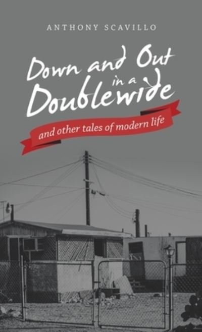 Cover for Anthony Scavillo · Down and Out in a Doublewide and Other Tales of Modern Life (Book) (2022)