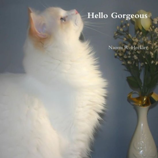 Cover for Naomi R. Heckler · Hello Gorgeous (Paperback Book) (2014)