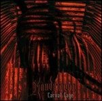 Carnal Cage - Mandragora - 音乐 - Sg Records - 8000130120199 - 2012年5月4日