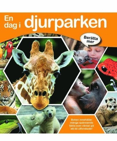 Cover for Louise Buckens · En dag i djurparken (Hardcover Book) (2016)
