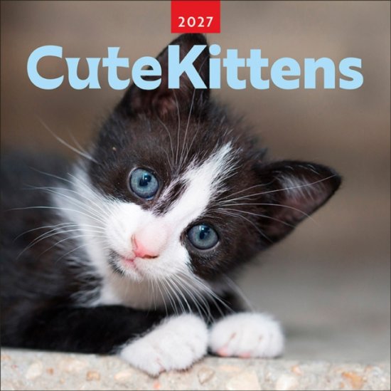 Cute Kittens 2027 Square BTAU -  - 周边商品 - BrownTrout AU - 9347301107214 - 2026年8月31日
