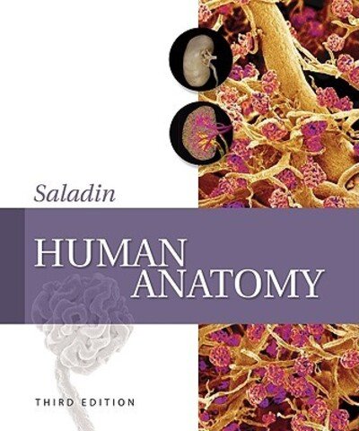 Cover for Kenneth Saladin · Human Anatomy with Connect Plus Access Card (Hardcover Book) (2010)