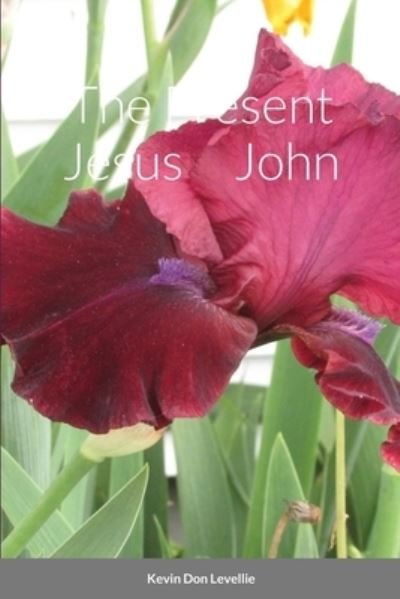 Cover for Kevin Levellie · Present Jesus John (Book) (2023)