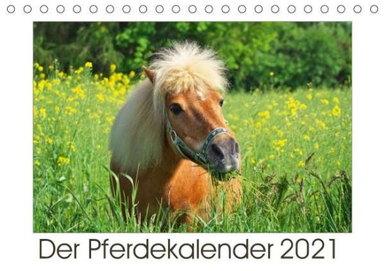 Der Pferdekalender (Tischkalend - Dölling - 图书 -  - 9783671661237 - 