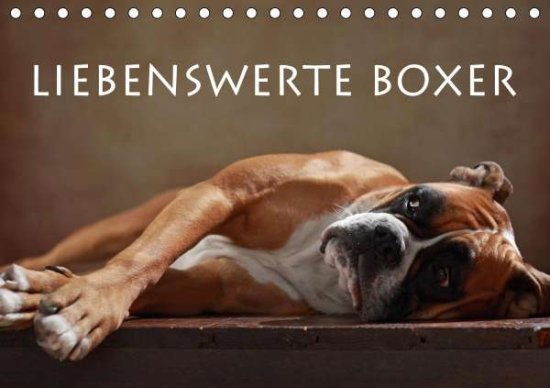 Cover for Behr · Liebenswerte Boxer (Tischkalender (Book)