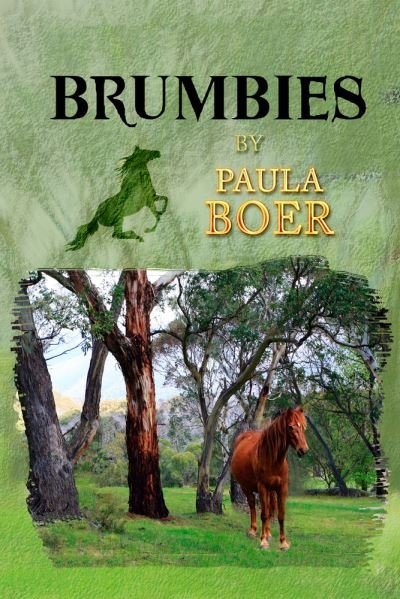 Cover for Paula Boer · Brumbies (Paperback Book) (2018)