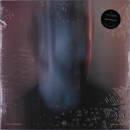Cover for Peter Silberman · Impermanence (LP) [Deluxe edition] (2017)