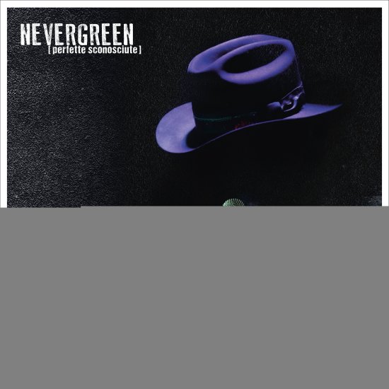 Cover for De Gregori Francesco · Nevergreen (Perfette Sconosciute) - 2 Lp Black (LP) (2026)