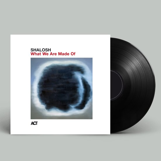 Cover for Shalosh · What We Are Made Of (LP) (2026)