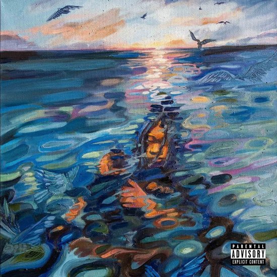Cover for Deem Spencer · Adultswim (navy) (LP) [Coloured edition] (2023)
