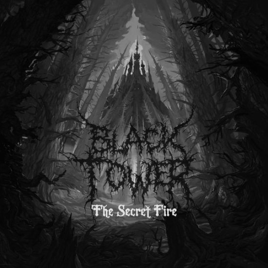 Cover for Black Tower · Secret Fire (LP) (2015)
