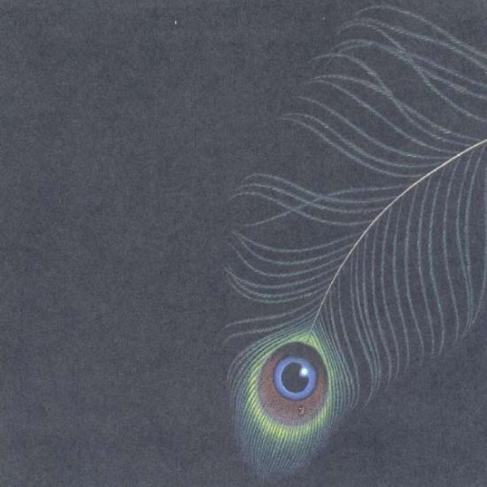 Cover for Unwed Sailor · Circles / The White Ox (LP) (2007)
