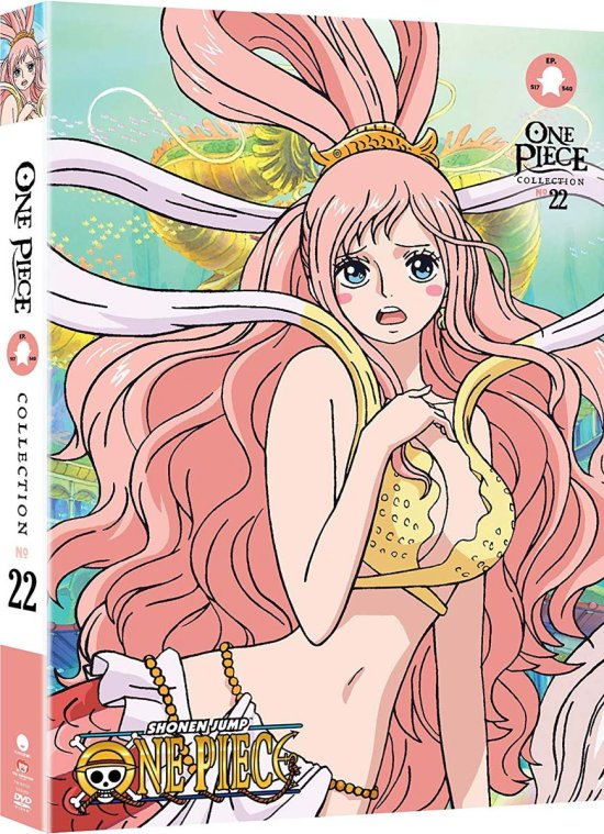 Cover for One Piece: Collection 22 (DVD) (2018)