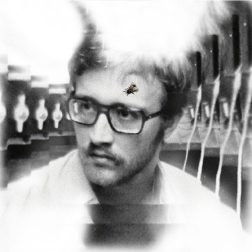 Cover for Damaged Bug · Bug On Yonkers (LP) (2020)