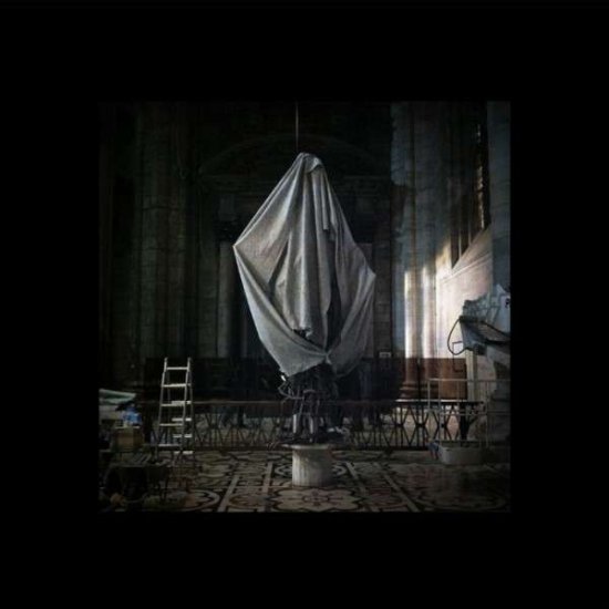 Cover for Tim Hecker · Virgins (LP) (2013)