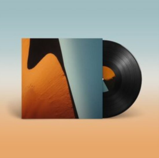 Cover for George Fitzgerald · Not As I Ep (LP) [EP edition] (2023)