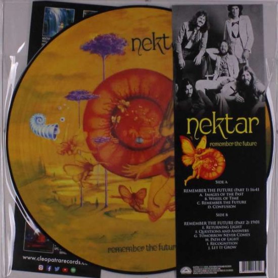 Cover for Nektar · Remember The Future (Reprint) (LP) [Picture Disc edition] (2020)