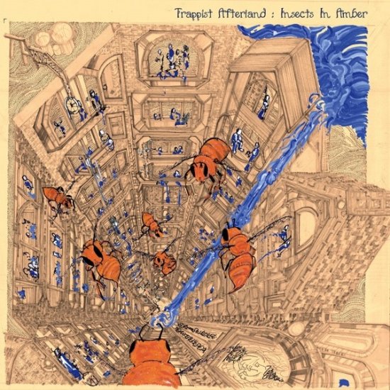 Cover for Trappist Afterland · Insects In Amber (LP) (2019)