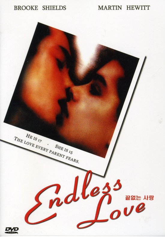 Cover for Endless Love (DVD) (2010)