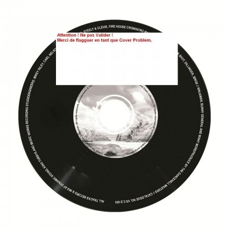 Cover for Krawallbrüder · 15 Jahre - Live in Berlin (CD) (2010)