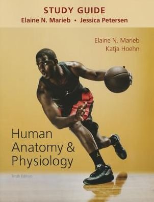 Cover for Elaine Marieb · Study Guide for Human Anatomy &amp; Physiology (Paperback Book) (2015)