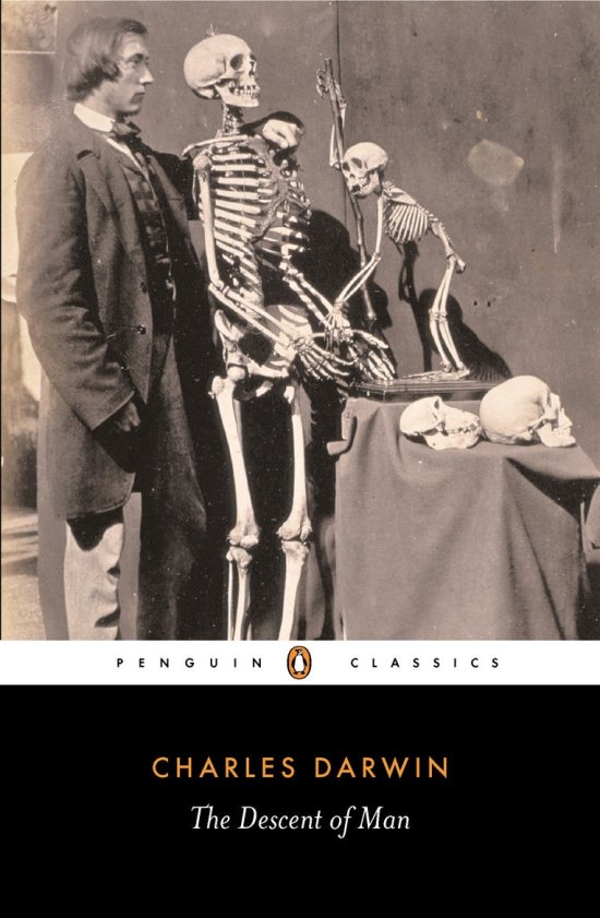 Cover for Charles Darwin · The Descent of Man: Selection in Relation to Sex (Paperback Book) (2004)