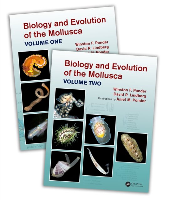 Cover for Winston Frank Ponder · Biology and Evolution of the Mollusca (Book) (2024)