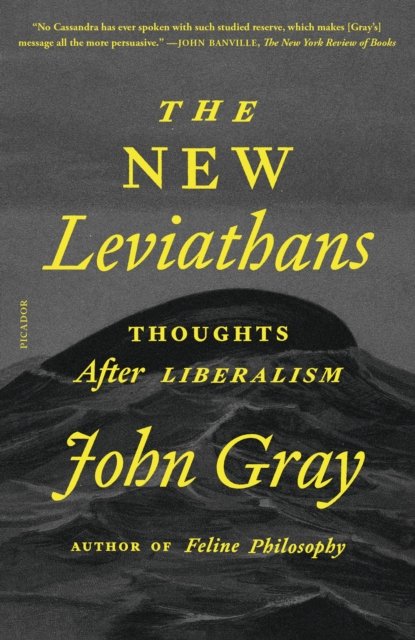 Cover for John Gray · New Leviathans: Thoughts After Liberalism (Paperback Book) (2024)