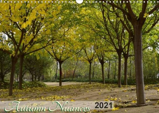 Cover for Ferraz · Autumn Nuances (Wall Calendar 20 (Book)
