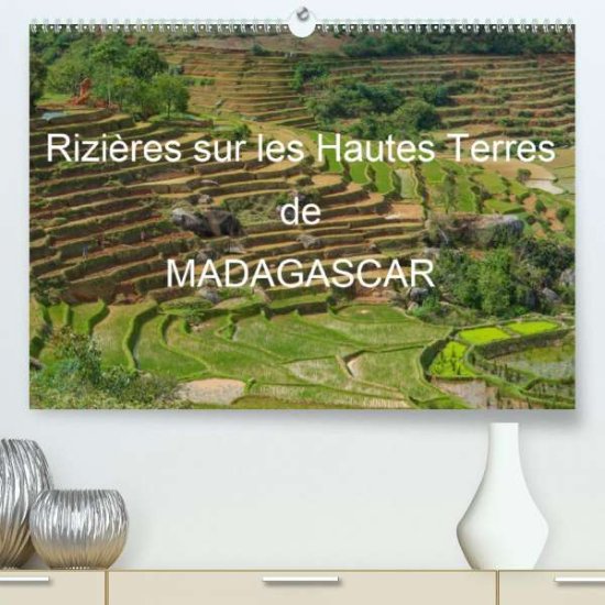 Cover for Goussard · Rizières sur les Hautes Terres (Book)