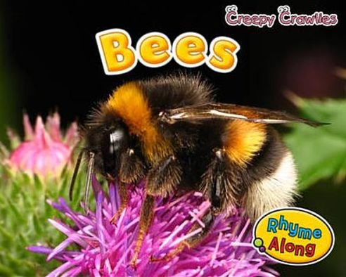 Cover for Rebecca Rissman · Bees (Hardcover Book) (2012)