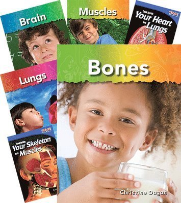 Cover for Teacher Created Materials · Our Bodies Set, Grades 1-2 (Paperback Book) (2011)