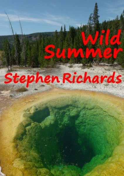 Cover for Stephen Richards · Wild Summer (Free Spirit Adventures : RV) (Book) (2012)