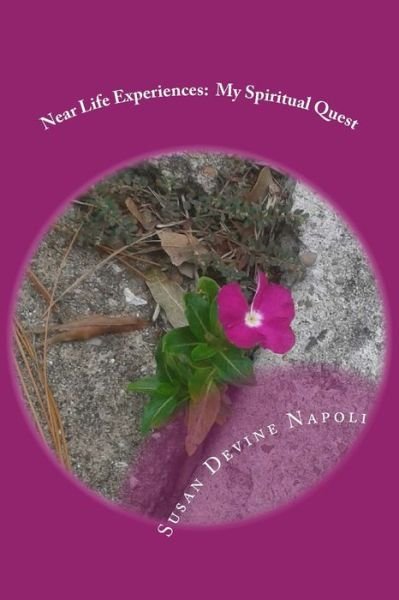 Cover for Susan Devine Napoli · Near Life Experiences (Paperback Book) (2016)