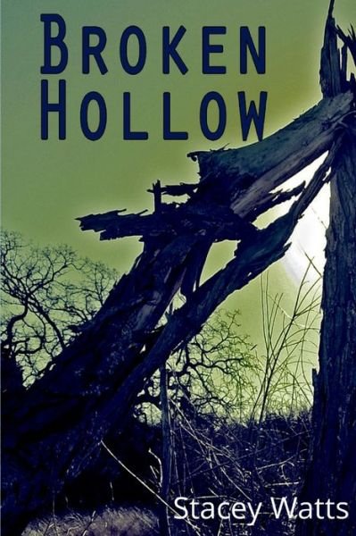 Cover for Stacey Watts · Broken Hollow (Paperback Book) (2016)