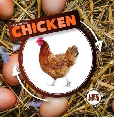 Cover for Kristy Holmes · Life Cycle of a Chicken (Hardcover Book) (2018)
